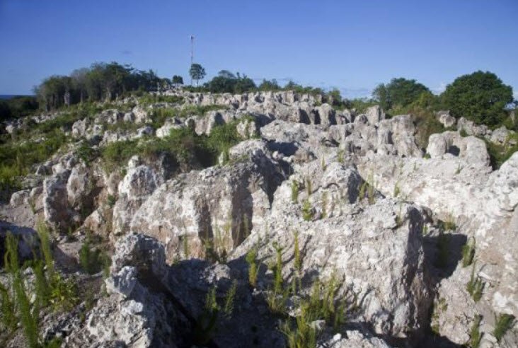 Command Ridge, Nauru